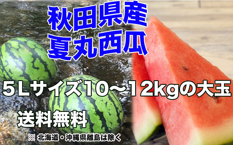すいか あきた夏丸 訳あり