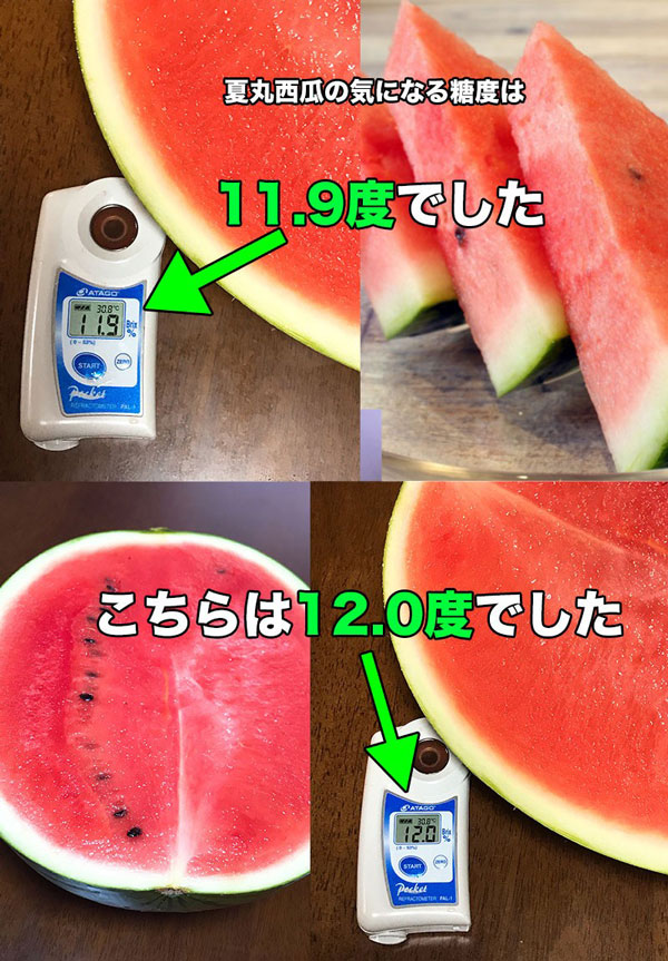 すいか あきた夏丸 訳あり