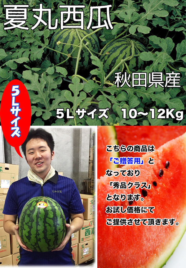 すいか あきた夏丸 訳あり