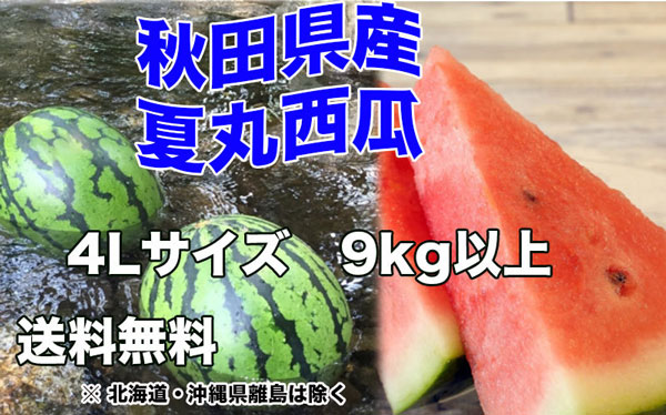 すいか あきた夏丸 訳あり