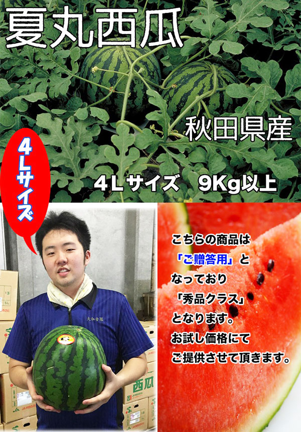すいか あきた夏丸 訳あり
