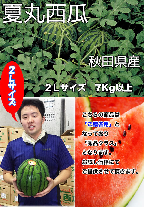 すいか あきた夏丸 訳あり