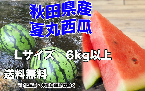 すいか あきた夏丸 訳あり