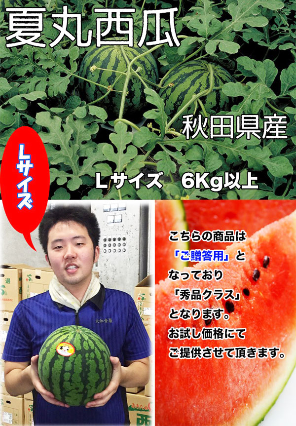 すいか あきた夏丸 訳あり