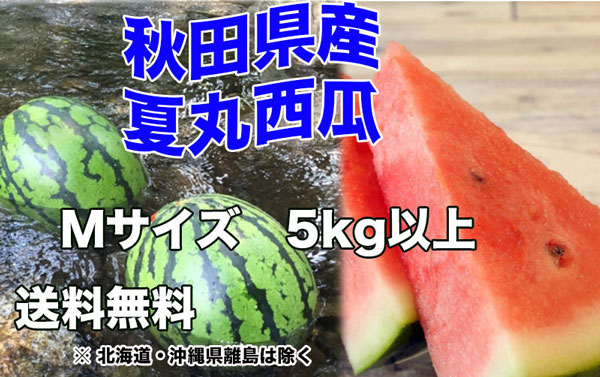 すいか あきた夏丸 訳あり