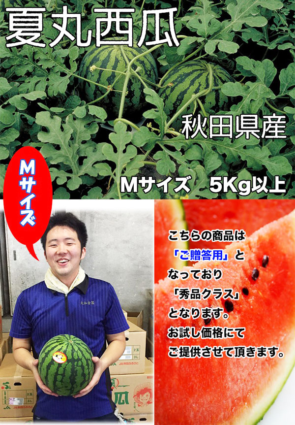 すいか あきた夏丸 訳あり