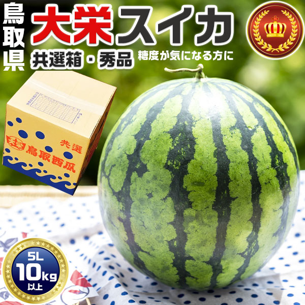 鳥取県産 大栄すいか 秀品 大栄西瓜 贈答用 5Lサイズ 10kg 特大