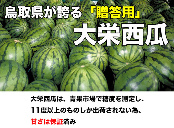 鳥取県産 大栄すいか 秀品 大栄西瓜 贈答用 5Lサイズ 10kg 特大