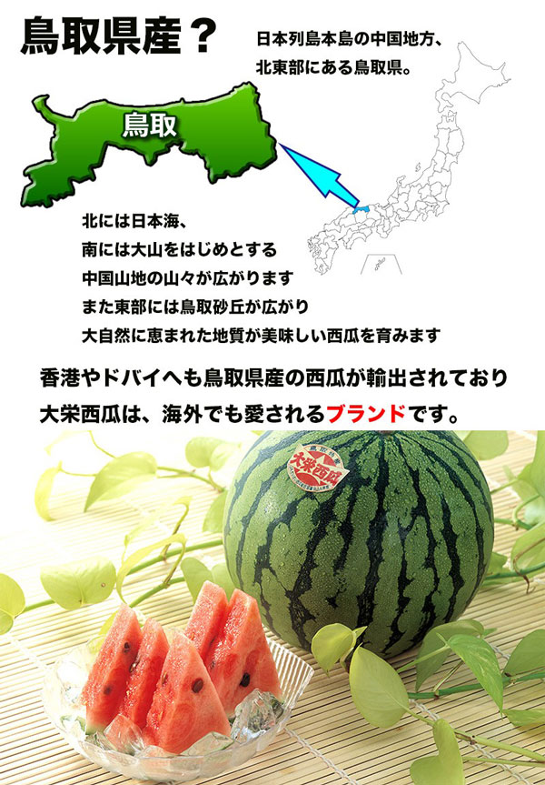 鳥取県産 大栄すいか 秀品 大栄西瓜 贈答用 5Lサイズ 10kg 特大