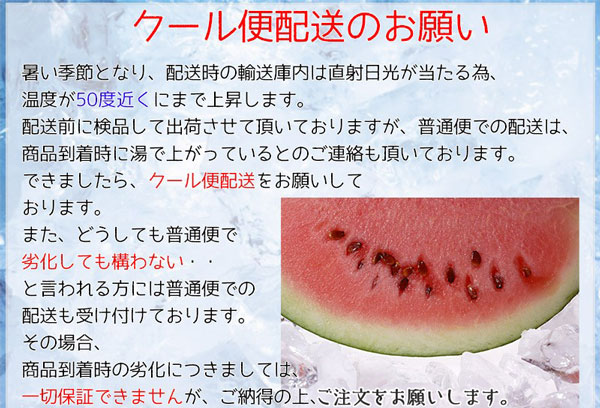 鳥取県産 大栄すいか 秀品 大栄西瓜 贈答用 5Lサイズ 10kg 特大