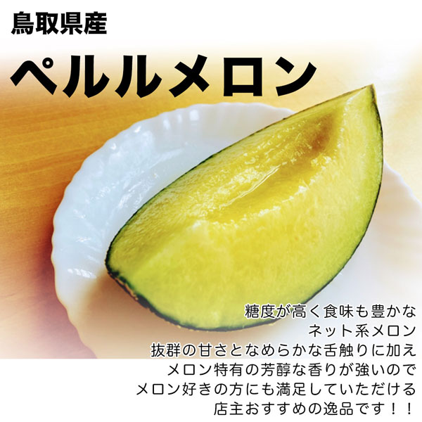 ペルルメロン 肥後グリーンメロン 4Lサイズ 化粧箱 1玉入 マスクメロン ネットメロン