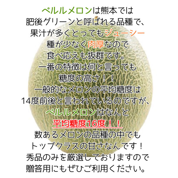 ペルルメロン 肥後グリーンメロン 4Lサイズ 化粧箱 1玉入 マスクメロン ネットメロン