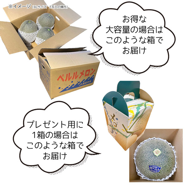 ペルルメロン 肥後グリーンメロン 4Lサイズ 化粧箱 1玉入 マスクメロン ネットメロン