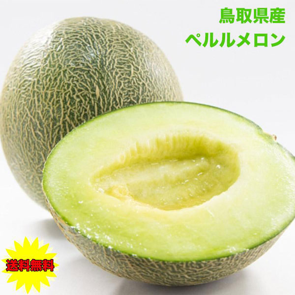 ペルルメロン 肥後グリーンメロン 4Lサイズ 化粧箱 1玉入 マスクメロン ネットメロン
