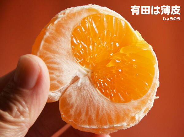 訳山鷹みかん　5kg　訳あり　Mサイズ(有田みかん) 家庭用・傷あり