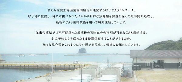 ・ギフト・お中元でもOK送料無料