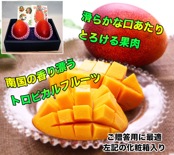 gh_fruits_09082595_09695052_23