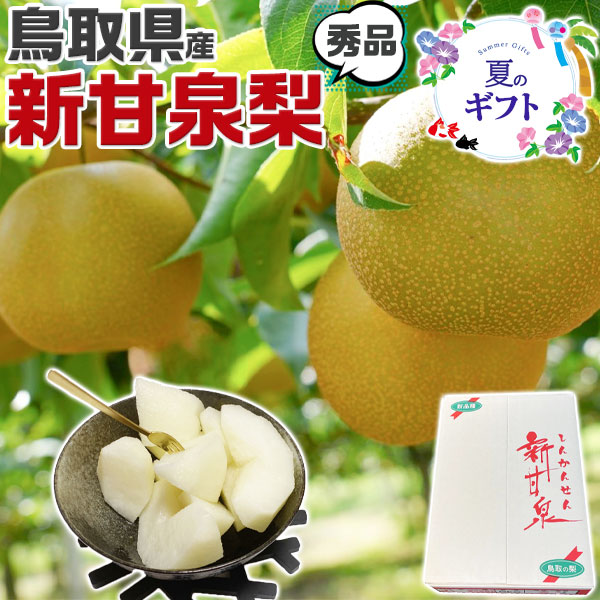 鳥取 新甘泉 梨 秀品 5kg 12玉〜16玉入 糖度14度前後 贈答用