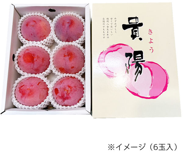 お中元 ギフト すもも プラム 貴陽 きよう 福岡県産 1箱 5-6玉入 プレゼント 贈答用 ぷらむ 高級 希少 : ギフト広場 - 通販 ...
