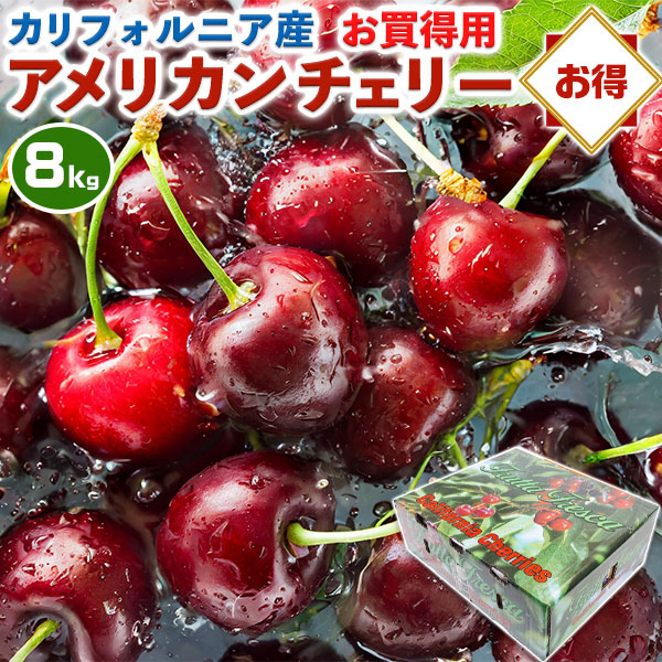 ダークチェリー アメリカン チェリー ビング種 コーラル種 お買得 家庭用 約8Kg 大箱入り カリフォルニア産 スーパーでお馴染み お中元 父の日