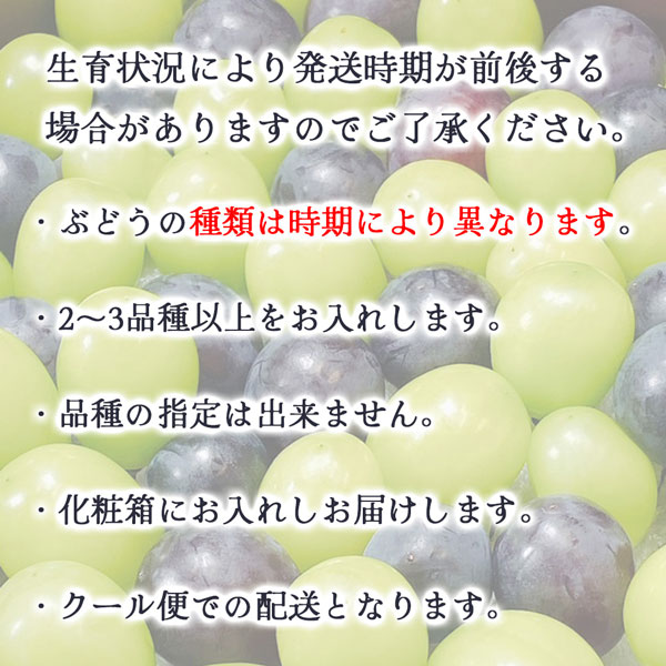 ・ギフト・お中元でもOK・送料無料