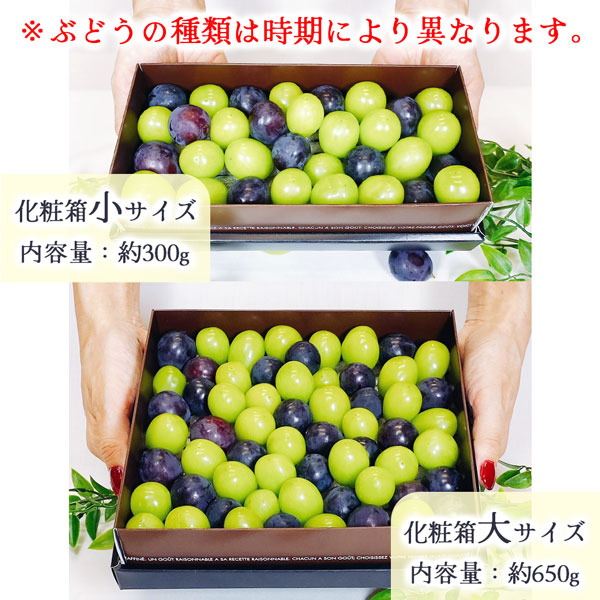・ギフト・お中元でもOK・送料無料