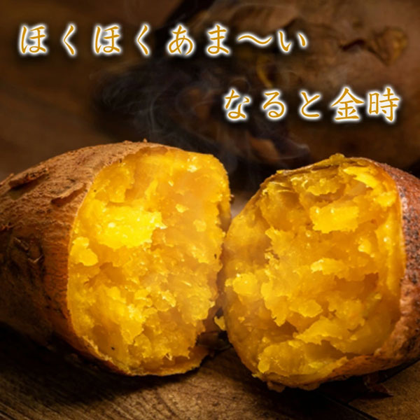 なると金時 里むすめ 徳島県産 さつまいも 5kg L-2Lサイズ 10-20本入