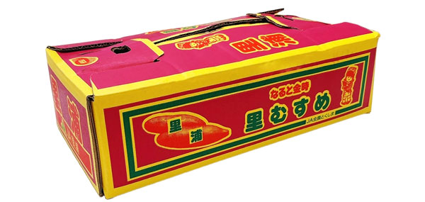 なると金時 里むすめ 徳島県産 さつまいも 5kg L-2Lサイズ 10-20本入