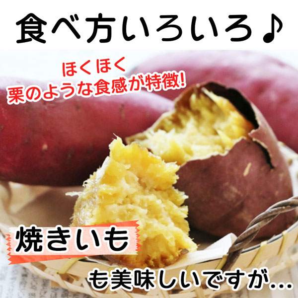 なると金時 里むすめ 徳島県産 さつまいも 5kg L-2Lサイズ 10-20本入