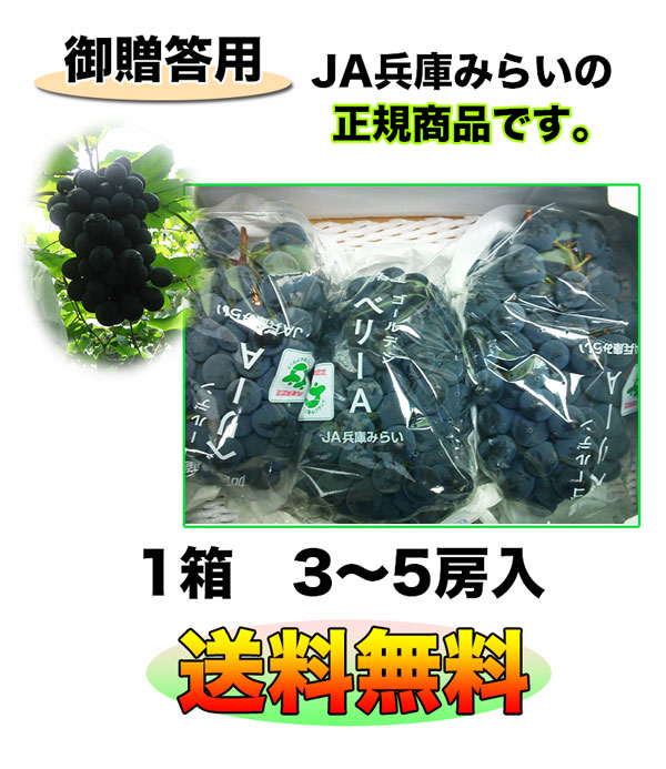 ・ギフト・お中元でもOK・送料無料