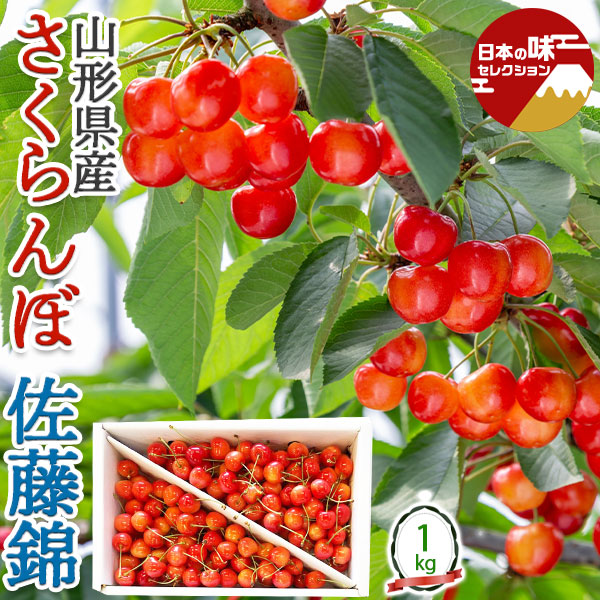 さくらんぼ 佐藤錦 約1kg さとうにしき 山形県産 M-Lサイズ バラ詰め 赤い宝石 サクランボ 父の日 フルーツ お中元 お見舞い お供え 贈答用 ギフト