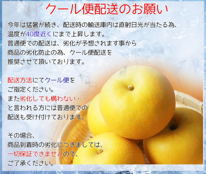 鳥取 新甘泉 梨 秀品 5kg 6玉〜10玉入 糖度14度前後 贈答用