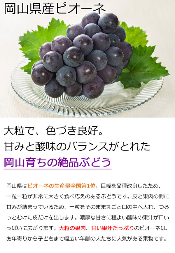 ぶどう 岡山県産 ピオーネ 550g × 2房...の詳細画像1