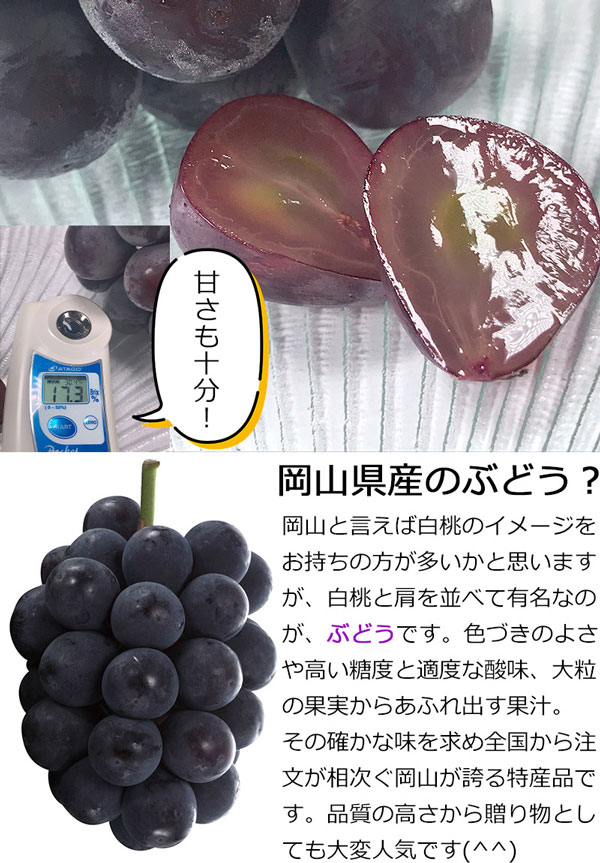 ぶどう 岡山県産 ピオーネ 550g × 2房...の詳細画像3