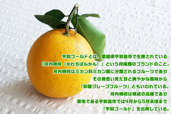 愛果28号のおすすめ人気商品一覧 通販 - Yahoo!ショッピング