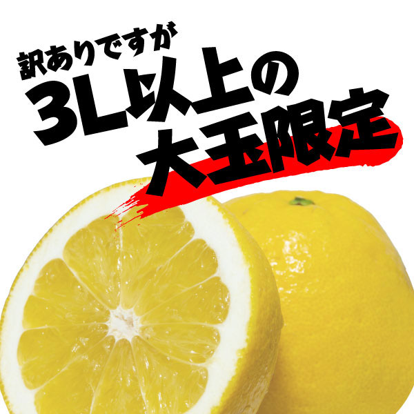 河内晩柑