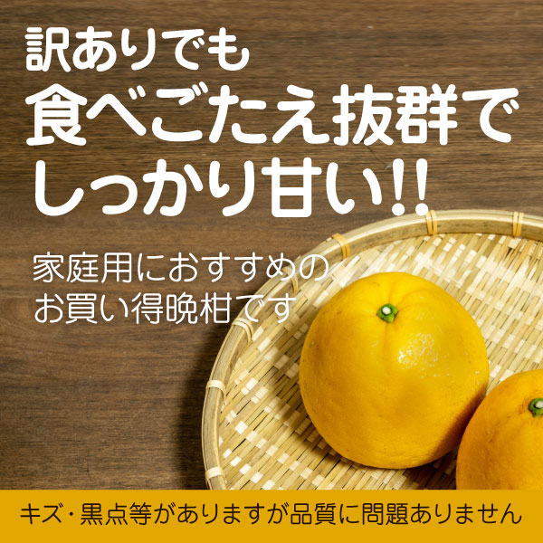 河内晩柑