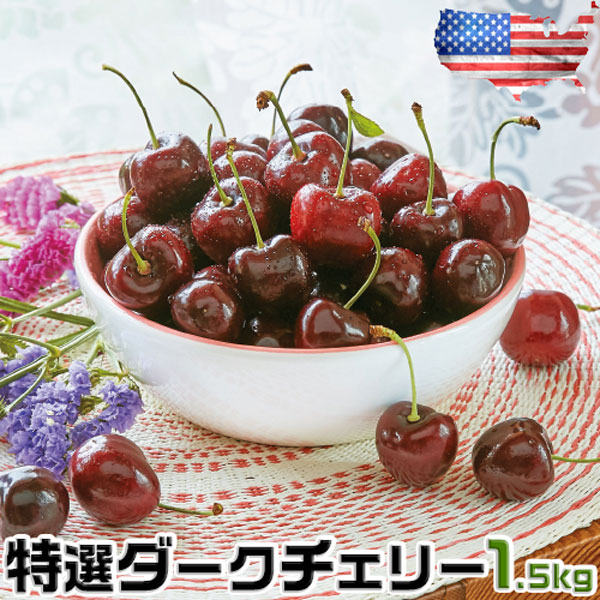 お中元 さくらんぼ アメリカン チェリー フルーツ 人気 大粒 果物 ギフト 特選ダークチェリー 1.5kg ワシントン州産 お試し お中元 00008K