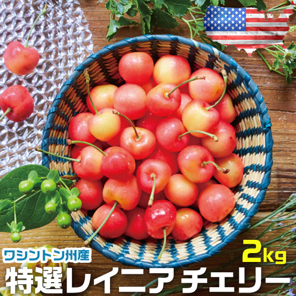 お中元 さくらんぼ アメリカン チェリー フルーツ 人気 大粒 果物 ギフト 特選レイニア チェリー 2kg ワシントン州産 お中元 00015K
