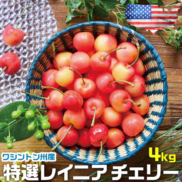 お中元 さくらんぼ アメリカン チェリー フルーツ 人気 大粒 果物 ギフト 特選レイニア チェリー 4kg ワシントン州産 お中元 00043K