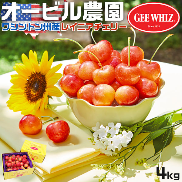 さくらんぼ オービル農園 アメリカン チェリー 4kg GEE WHIZ 超大粒