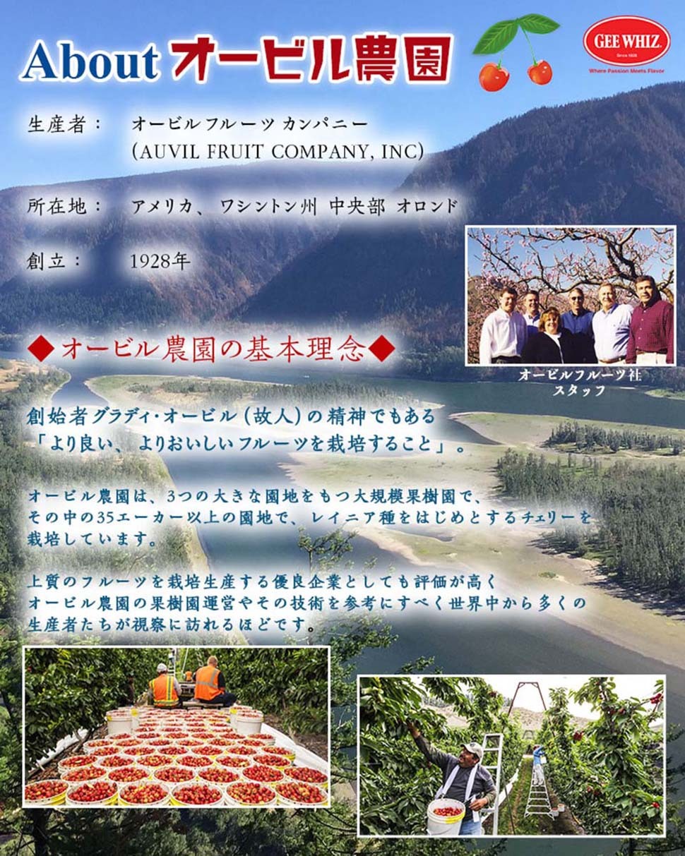 オービル農園　アメリカンチェリー　GEE WHIZ　大粒レイニアチェリー