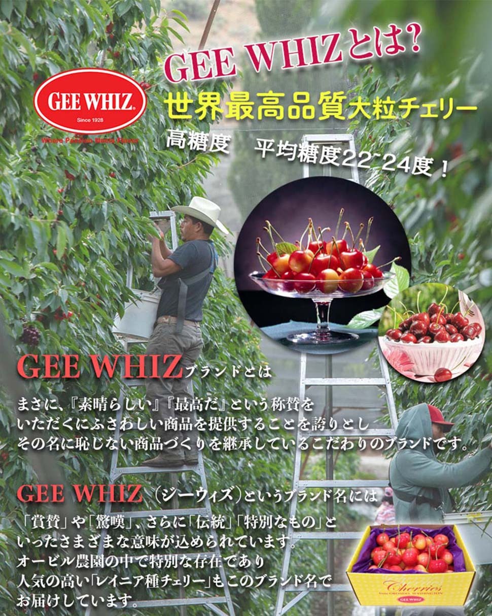 オービル農園　アメリカンチェリー　GEE WHIZ　大粒レイニアチェリー