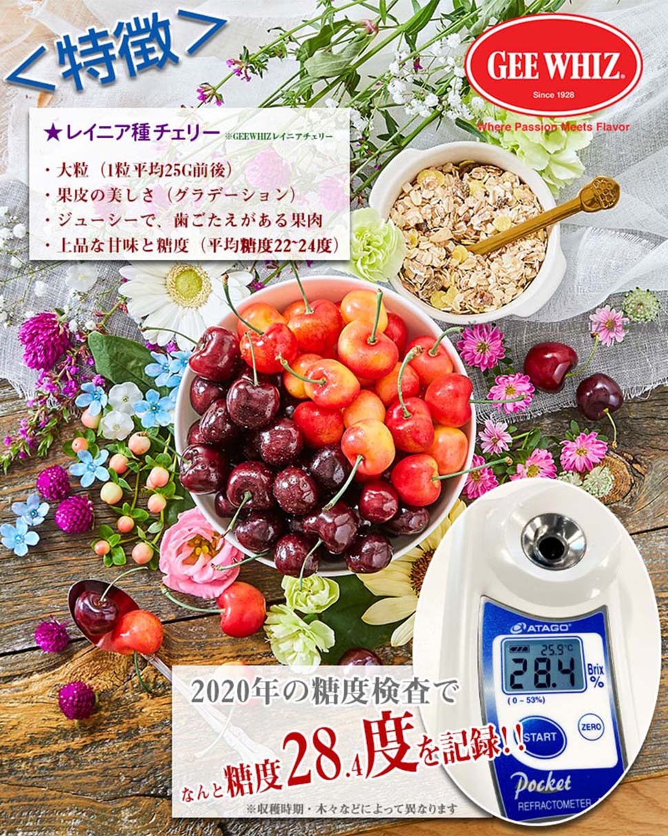オービル農園　アメリカンチェリー　GEE WHIZ　大粒レイニアチェリー