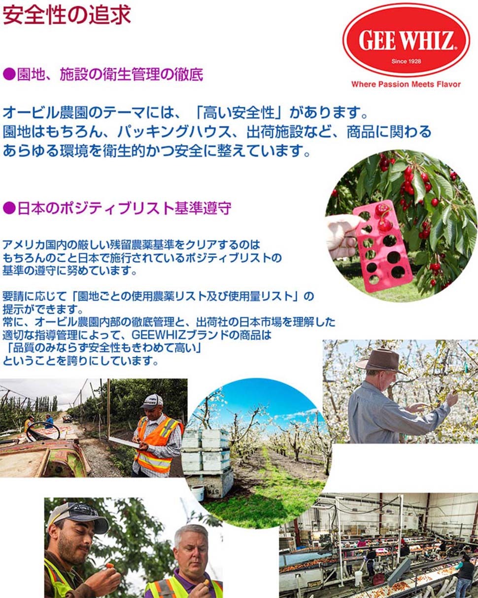 オービル農園　アメリカンチェリー　GEE WHIZ　大粒レイニアチェリー