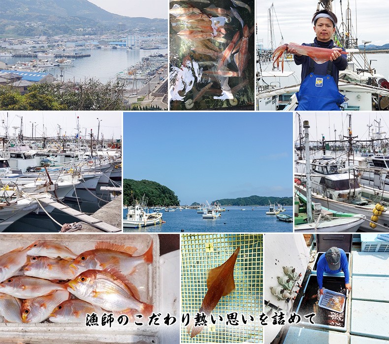 旬の鮮魚セット　玄界灘産