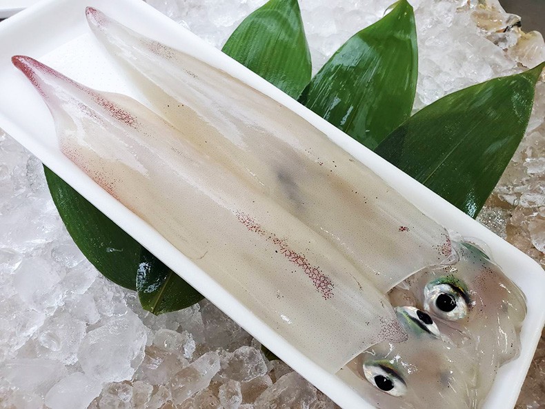 旬の鮮魚セット　玄界灘産