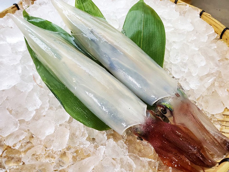 旬の鮮魚セット　玄界灘産