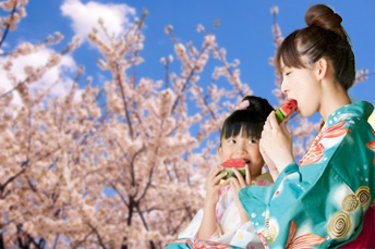 すいか Mサイズ 4キロ 2玉 熊本 甘い オールシーズン