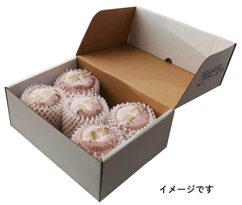 二十世紀 梨 京たんご産 5キロ 10-16個 贈答用 ギフト